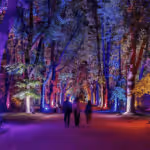 Serralves lights up Porto summer nights