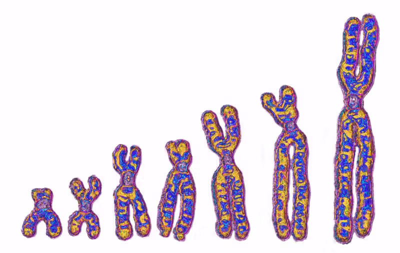 Not just Neanderthals: Ghost lineage in Africa left its mark on our DNA