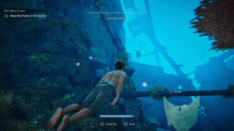 All Black Flag Resynced Antocha Wreck chests