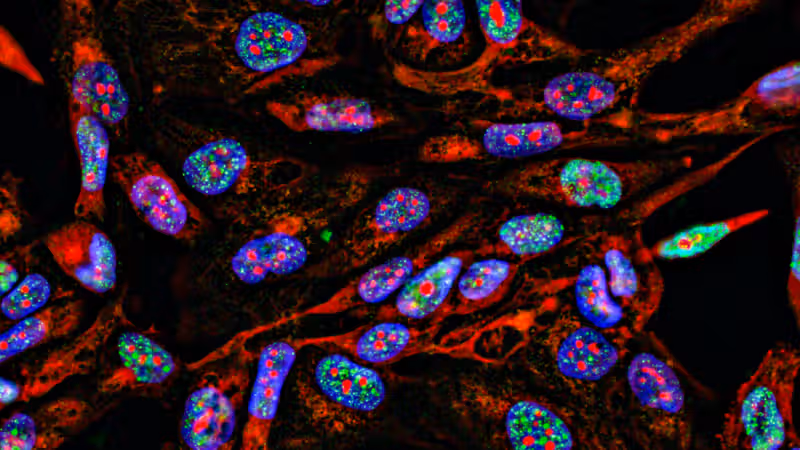 Lab supply companies have been selling antibodies using manipulated images