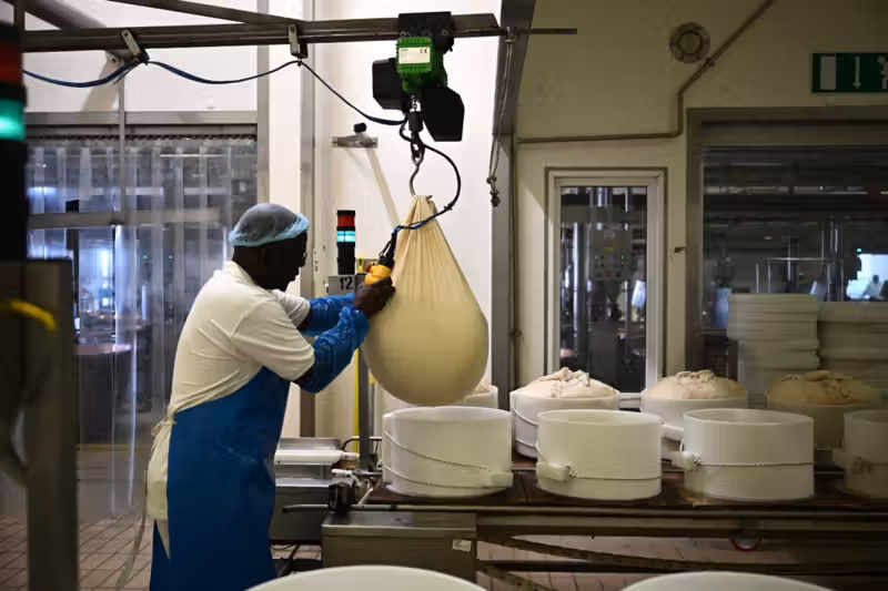 Italy’s scorching summer puts Parmesan producers to the test