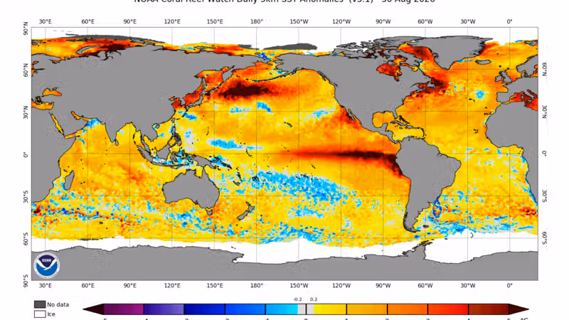 El Niño is now stronger than at any point in the last 1,000 years, study finds