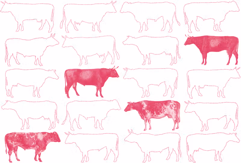 How Greek farmers milked EU funds from imaginary cows