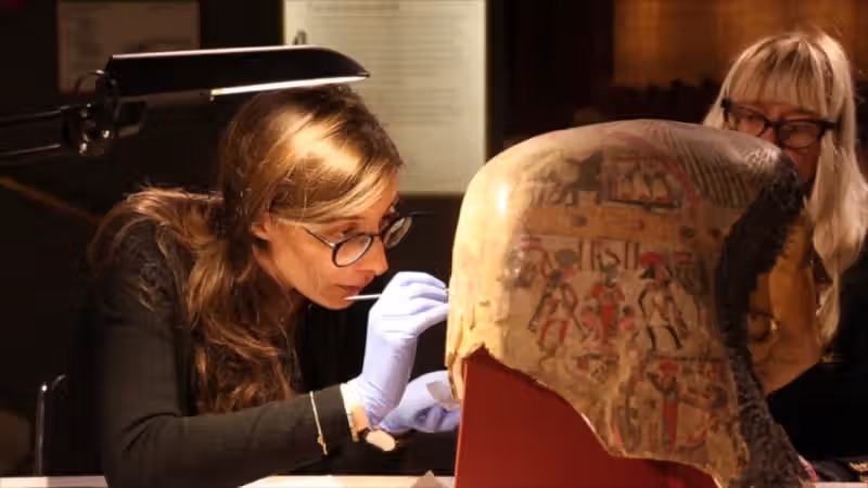 Scientists unlock secrets of ancient Egyptian materials with proteomics