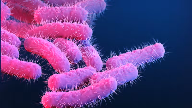 150 research primates got diarrhea, flooding lab with priceless vaccine data