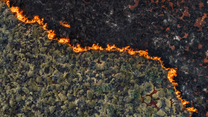 Senators demand crackdown on wildfire "prediction markets"