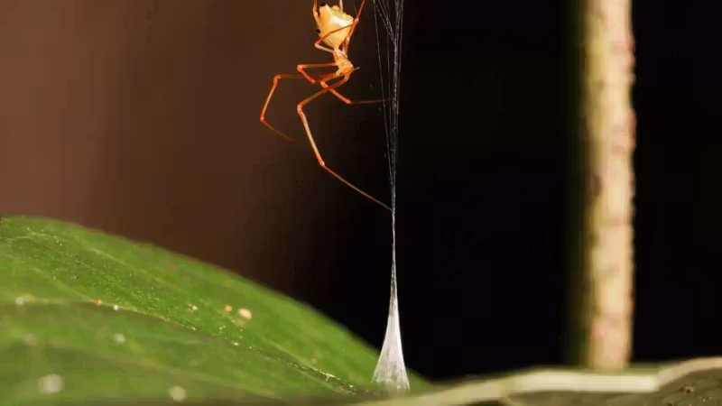 June research roundup: 6 cool science stories we almost missed