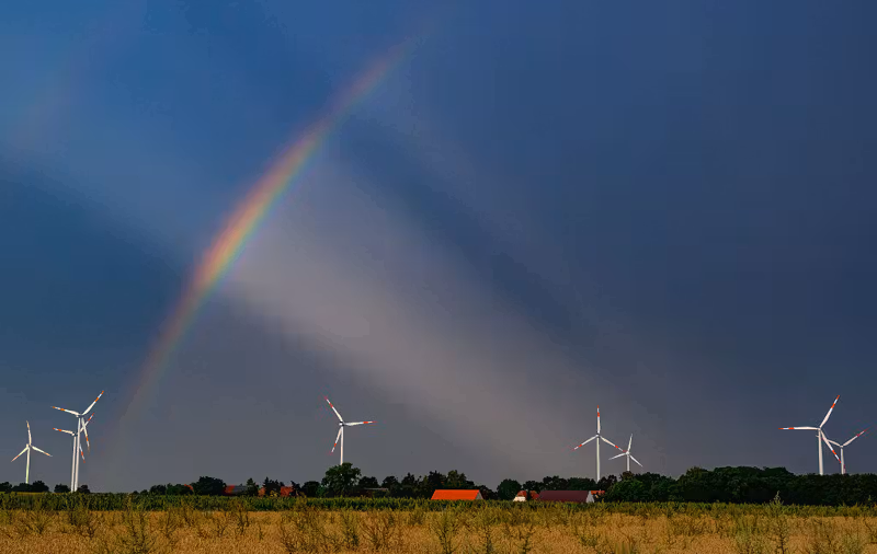Trump is losing his war on wind power