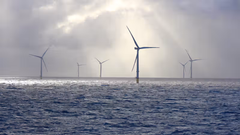 Trump admin abandons fight against wind energy as clean energy output surges