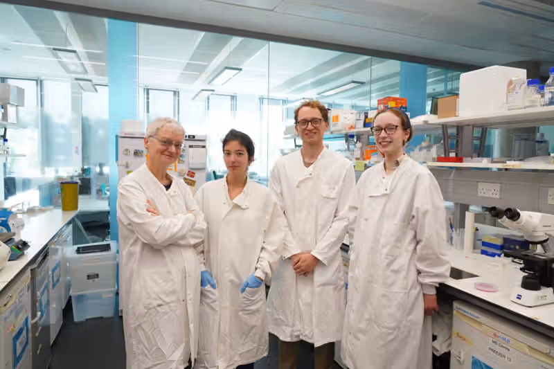 Tiny fish could unlock new MS drugs. Brexit is getting in the way.