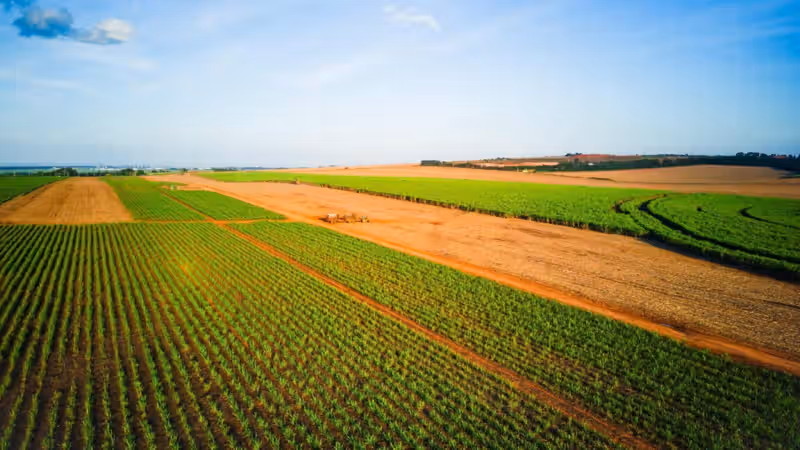 Everyone pays the price as patent holders on seeds stifle innovation