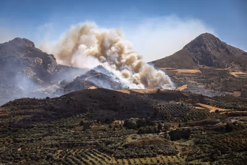 Greece’s aging power grid blamed for catastrophic wildfires